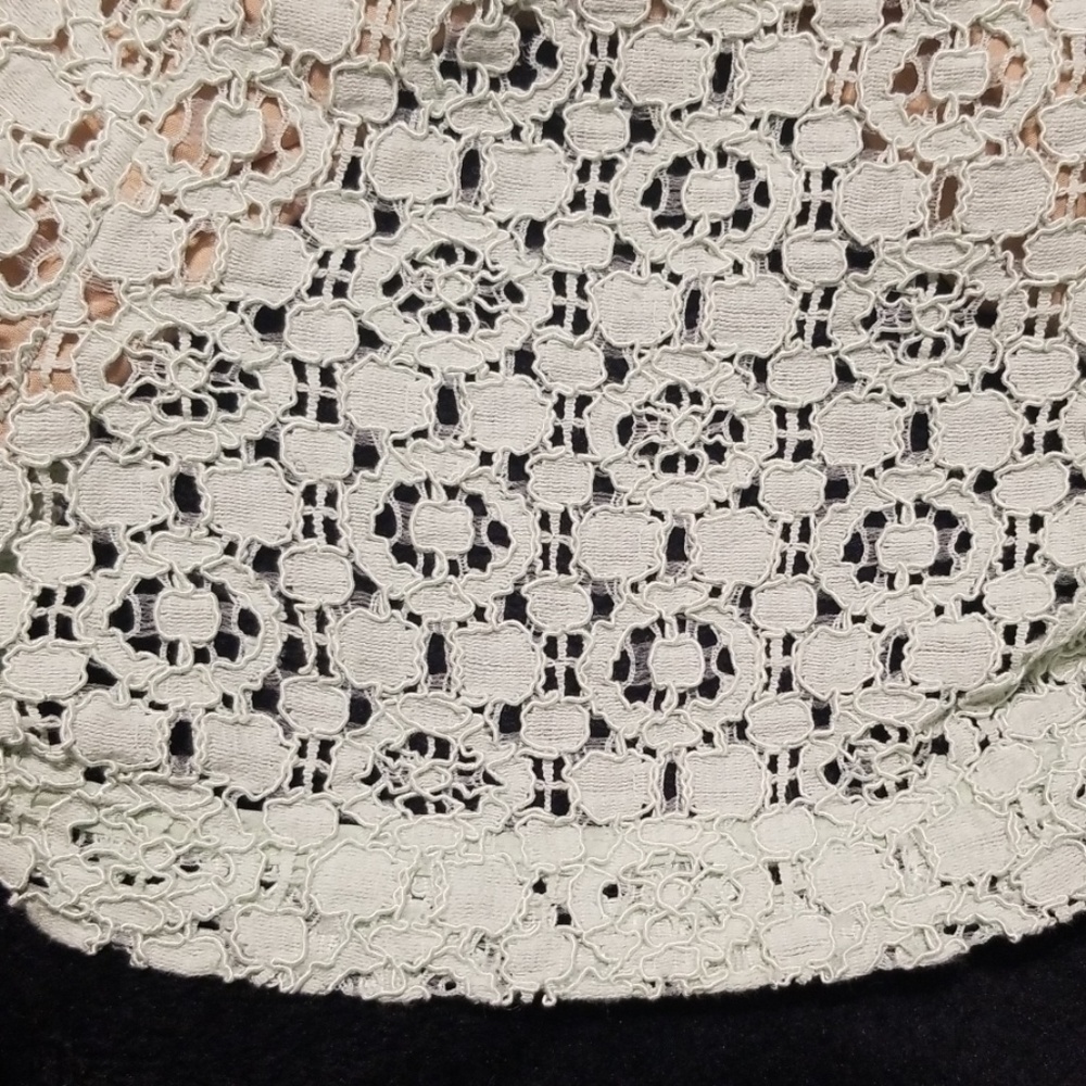 Victoria Beckham Lace Overlay Pleated Shorts - Picture 7 of 7